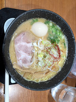 「味玉鶏白湯 醤油」@中華そば 風 KAZEの写真