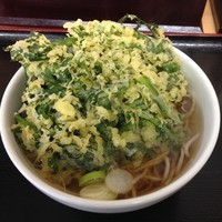 「かけ(¥250)+春菊(¥100)」@松の屋の写真