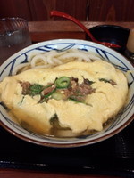 「だし玉肉うどん（並）590円」@丸亀製麺 足立店の写真