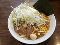 「煮込み野菜らーめん＋白髪ネギトッピング」@らーめん茂一の写真