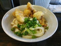 「とり天ぶっかけ￥420+紅しょうが天￥130」@おにやんま 東品川店の写真