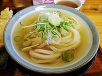 「ひやかけ￥380+いか天￥130、紅生姜天￥90など」@いわしやの写真