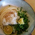 醤油うどん