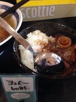 「ミニカレー 450円」@支那そば 神龍の写真