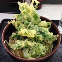 「明日葉天（￥380）」@めんやの写真