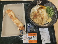 「釜玉うどん小300円＆イカ天110円(天ぷら定期券で無料」@はなまるうどん ホームズ仙川店の写真