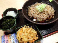 「朝そば(おろし・330円)に、わかめ(クーポン)」@ゆで太郎 新川1丁目店の写真