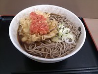 「桜えびかき揚そば」@そば処 武田 春日店の写真
