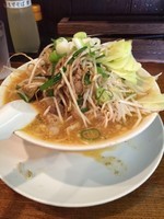 「野菜味噌らーめん＋野菜トッピング」@やどがり家の写真