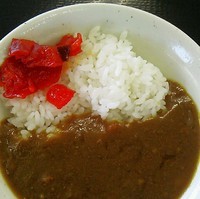 「ミニカレー丼」@山田うどん 朝霞店の写真