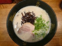 「とんこつラーメン￥550(替玉 2玉無料)」@博多風龍 秋葉原店の写真