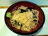 「冷やしたぬき(390円)」@おくとねの写真