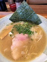 「とんこつ醤油らーめん(750円)細麺バリカタ」@家系ラーメン 横道(odo)の写真