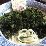 【限定】海苔だく鶏白湯そば