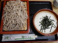 「とろろそば（冷） 850円+大盛100円」@入船食堂の写真