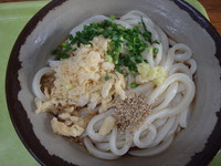 「ぶっかけ中(240円)」@さか枝の写真