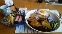 「恵水ポーク・湘南地野菜・三浦地卵　地野菜ごっそりカレーライス」@情熱魚酒場 海彦 杉田店の写真