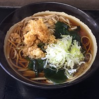 「かけ（￥290）」@立喰そば きうちの写真