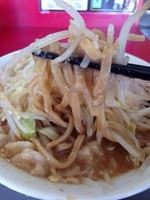 「味噌ラーメン（全増し＋にんにくダブル）」@ジャンクガレッジ 東大宮店の写真