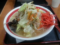 「近江チャンポン（７８０円）」@ちゃんぽん亭総本家 甲賀土山SA店の写真