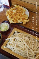 「もりうどん＋かき揚げ　520円＋120円」@本手打うどん きざきの写真