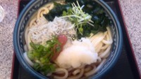 「梅じゃこうどん・大盛同額」@麦の城の写真