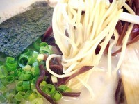 「博多ラーメン(600円)」@長浜屋台ラーメン 博多っ子 関内店の写真