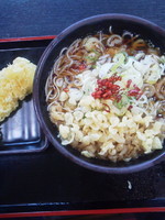 「かけ（ネギ多め）\320＋イカ天（クーポン）」@ゆで太郎 新木場江東店の写真