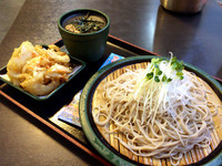 「大根そば(390円)にかき揚げ(クーポン)」@ゆで太郎 本所吾妻橋店の写真