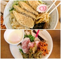 「【限定/皐月の一杯】胡麻だれ冷やし棒々鶏（S）　1,500円」@MENYA 食い味の道有楽の写真