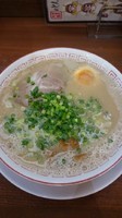 「だるま  極麺(硬め)  720円」@だるま大使 本店の写真
