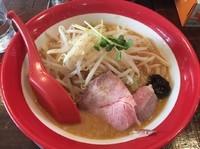 「ジョニーの味噌+半ライス（730+0円）」@手打ち極太麺 ジョニーの味噌の写真