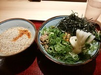 「〖オープン記念価格〗特製肉うどん（小・冷）620円」@うどんのおがわ屋の写真