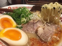 「元祖鶏ガラ豚骨スープ 屋台味ラーメン 半熟味玉付(700円)」@よってこや 新宿南口店の写真