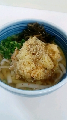 「ゴボウ天うどん」@白河そばの写真