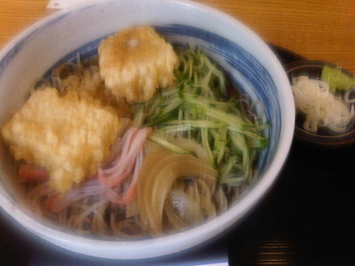 「冷やし力そば(900円)」@やぶ善の写真