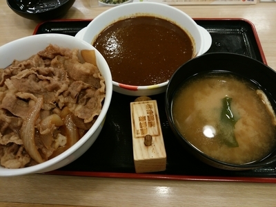 「プレミアム牛めし（並）380円+カレーソース190円」@松屋 日暮里店の写真