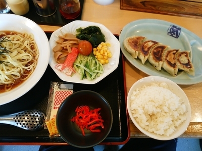 「【冷やし中華(並盛・140g)842円】→542円」@らーめん ともや 高崎店の写真