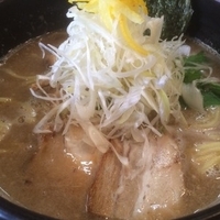 豚骨魚介ラーメン