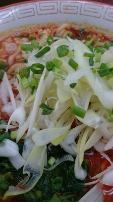 「ミニどらタンタンメン650円」@らーめん ドラごんちの写真