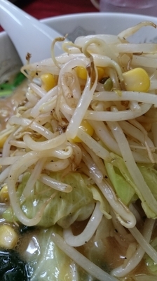 「味噌ラーメン730円」@らーめん ドラごんちの写真