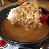 すたみなカレー