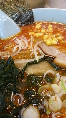「からし麺７７０円」@ラーメン菱和 上大岡店の写真