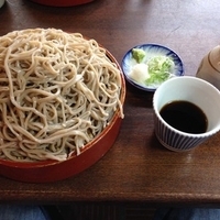 もりそば(普)