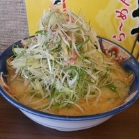 たっぷりねぎらーめん(塩)
