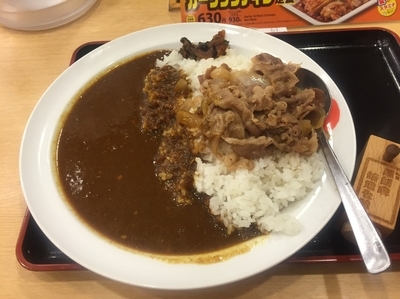 「オリジナルカレギュウ 並」@松屋 鶴見東口店の写真