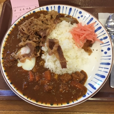 「牛あいがけカレー並盛＋温玉トッピング」@すき家 大井町一丁目店の写真