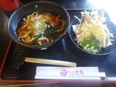 「天ぷらうどん」@ぽかぽかランド美麻の写真