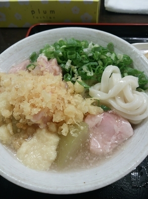「〖8月限定〗鶏肉と冬瓜のうどん（並）500円」@おにやんま 新橋店の写真