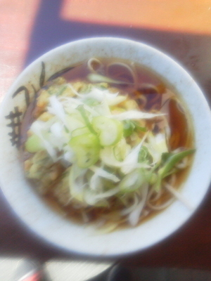 「天ぷらそば\380」@南天 本店の写真